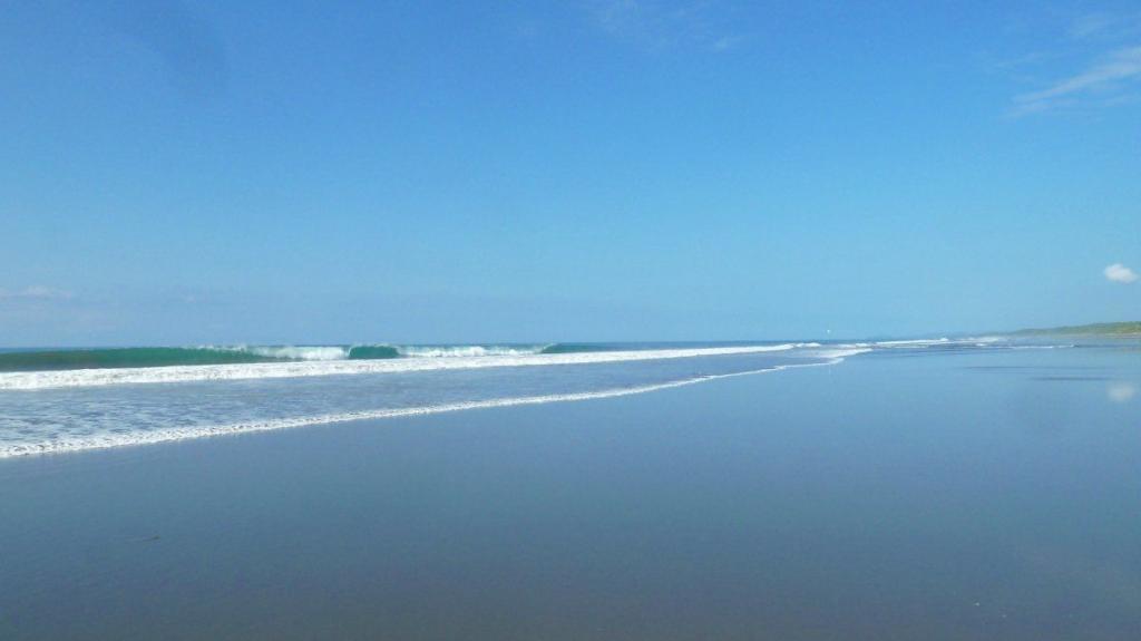 Things to do in Playa Matapalo Quepos Costa Rica